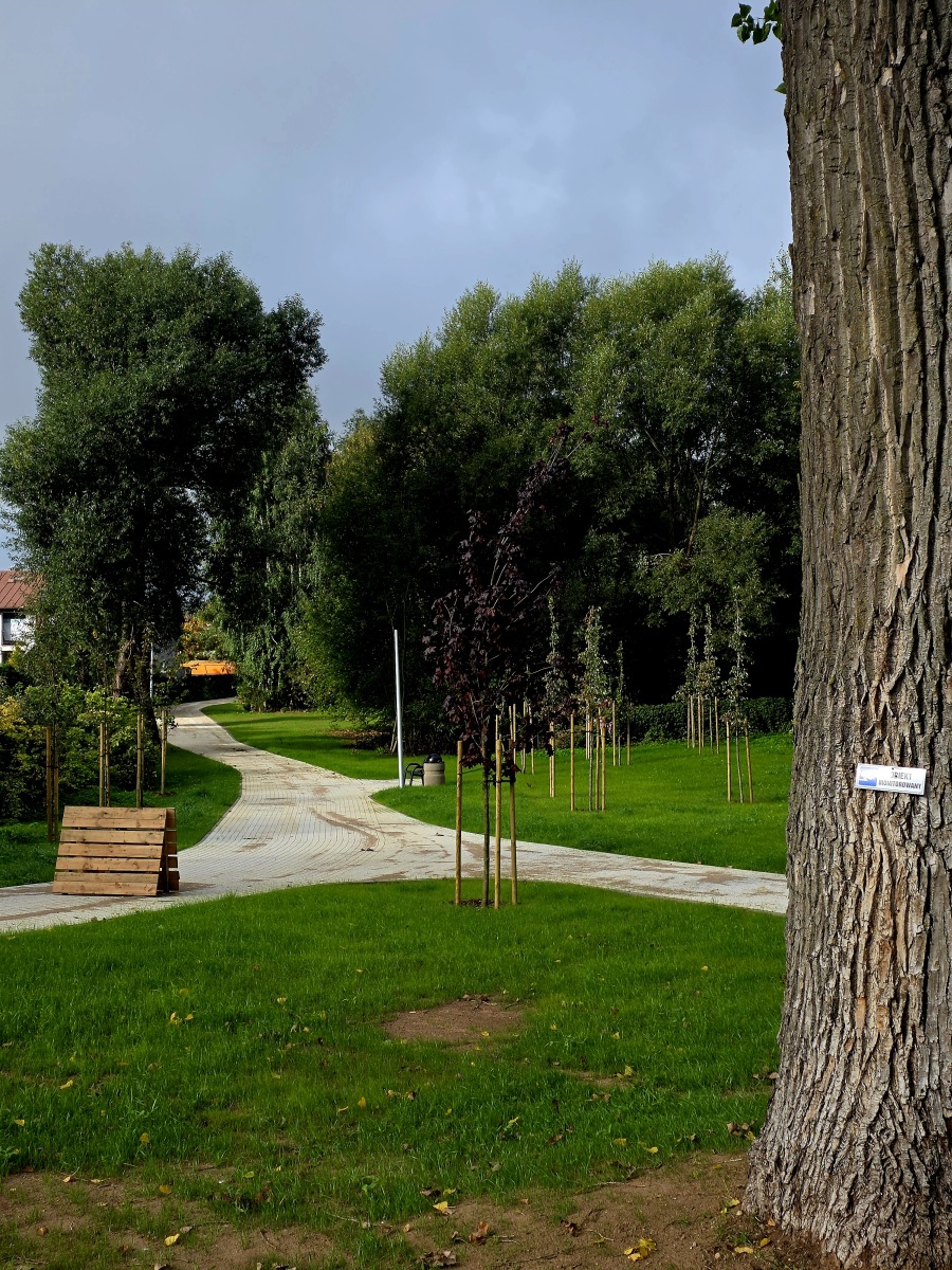 Zakończyła się budowa parku pomiędzy ul. Grunwaldzką, Jagiełły i Traktorzystów 3 33 1