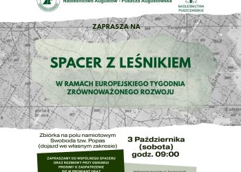 Spacerkiem po Puszczy Augustowskiej 3 Nadleśnictwo Augustów