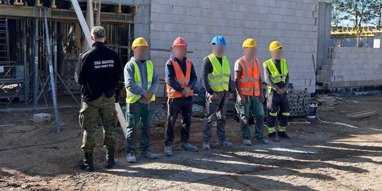 Pięciu cudzoziemców zatrzymanych za nielegalną pracę 1 Źródło: podlaski.strazgraniczna
