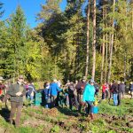 Posadzili 12 tysięcy drzew 11 33ff5ddf a83d 447b 8579 4c8ca062509b