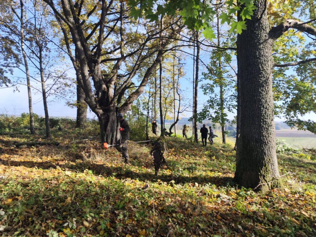 Meszno: wolontariusze porządkowali zapomniany cmentarz 1 Stowarzyszenie Poszukiwaczy Historii "Elsgrund" / Facebook
