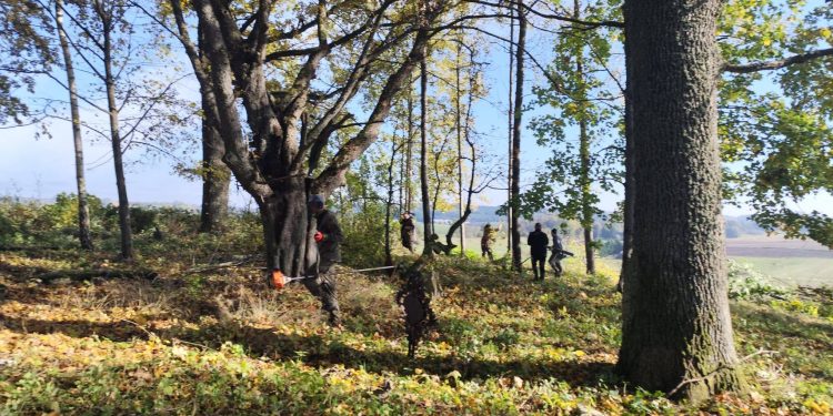 Meszno: wolontariusze porządkowali zapomniany cmentarz 1 Stowarzyszenie Poszukiwaczy Historii "Elsgrund" / Facebook