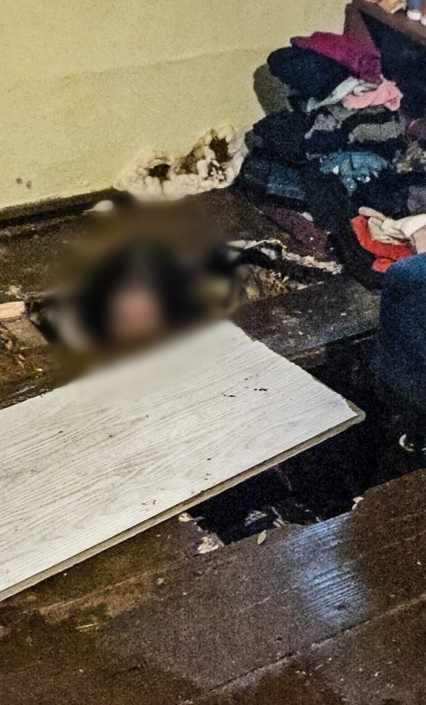 Niepodany kieliszek, zarwana podłoga 2 Niepodany kieliszek zarwana podloga 2