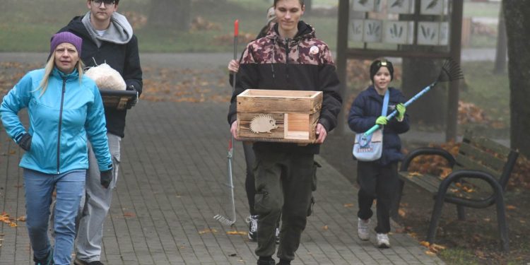 „Ale grabie! Liście, jeże i kiełbaska”.