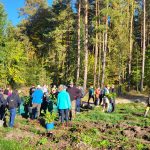 Posadzili 12 tysięcy drzew 8 bd7e19a5 b485 49d2 8382 4d1d66ef65cb