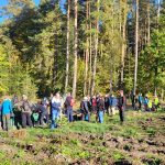 Posadzili 12 tysięcy drzew 12 d77348e8 56b9 4b0a b5b6 2955a7c7a940