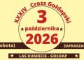 goldappppp