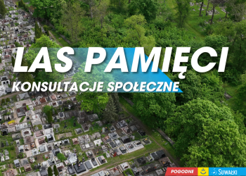 Chcecie Las Pamięci? 3 kosultacje las pamieci