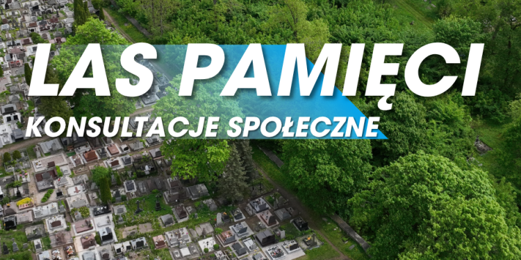 Chcecie Las Pamięci? 1 kosultacje las pamieci